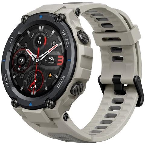 Amazfit fit top t rex
