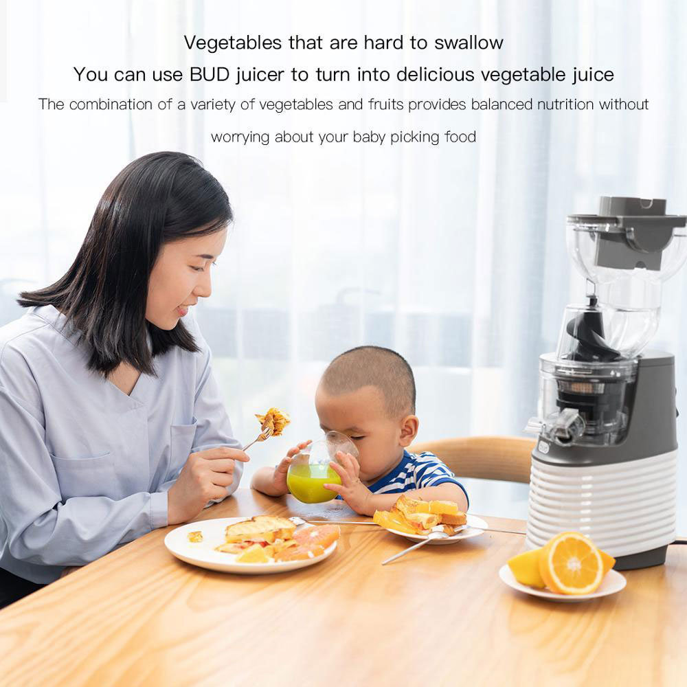 آبمیوه گیر شیائومی مدل Xiaomi Youpin Juicer Fruit Blender 220V