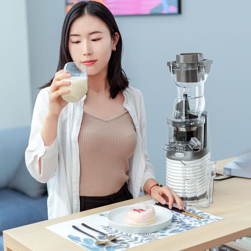 آبمیوه گیر شیائومی مدل Xiaomi Youpin Juicer Fruit Blender 220V